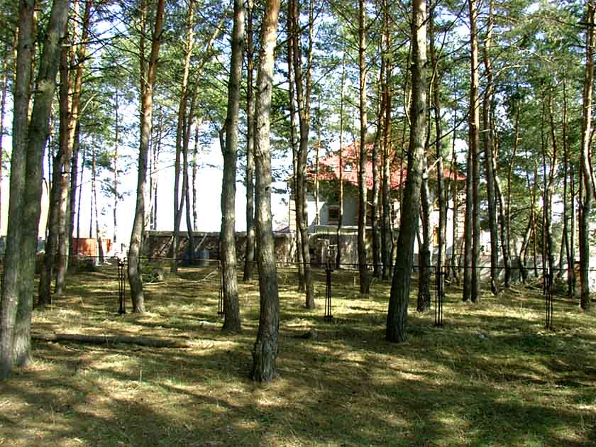 При подключенном интернете по нажатию этой ссылки откроется страница